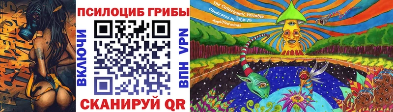 наркота  Полярный  Галлюциногенные грибы прущие грибы 
