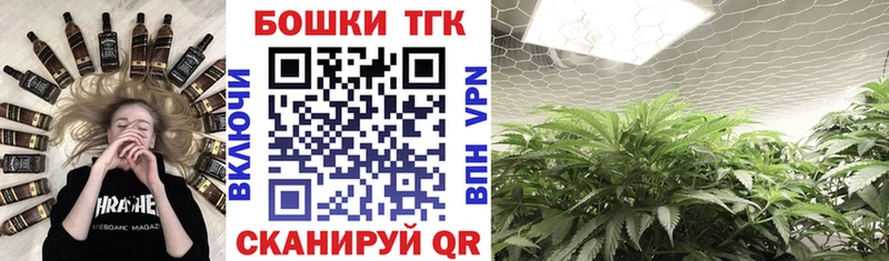 Бошки Шишки гибрид  Полярный 